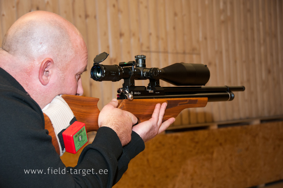 Danel Vanamets, Daystate Merlyn